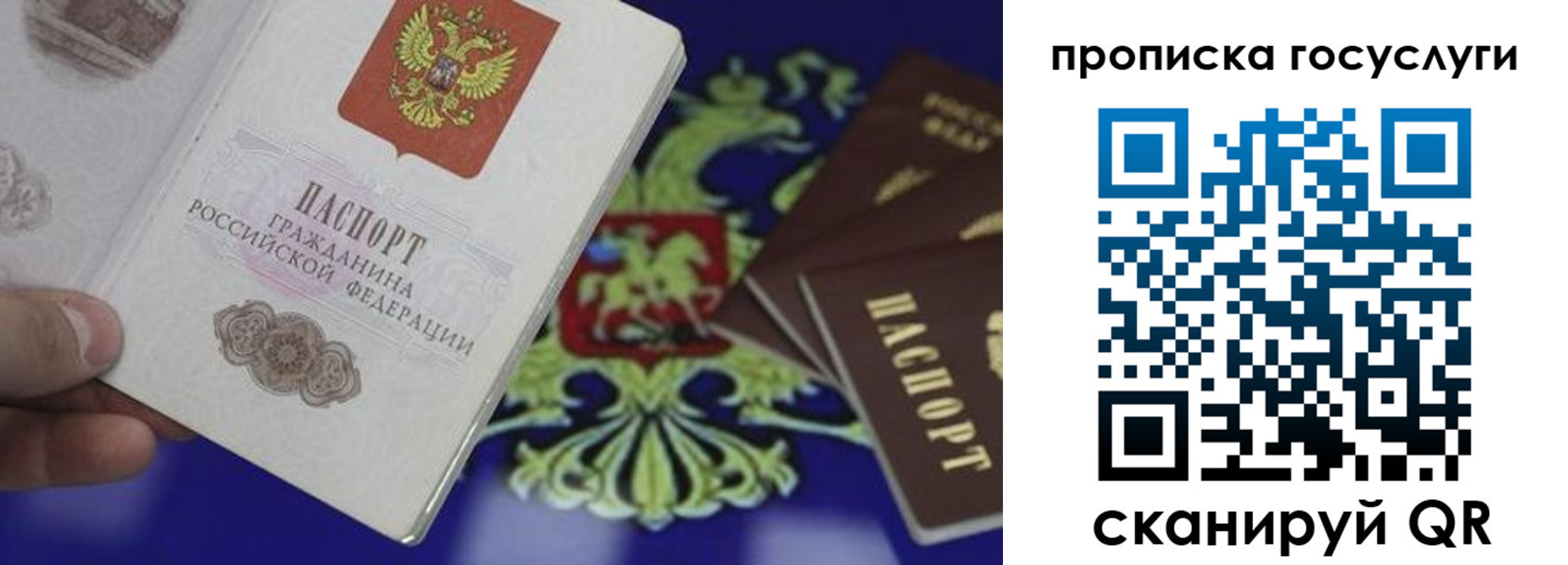 прописка для школы в Нытве